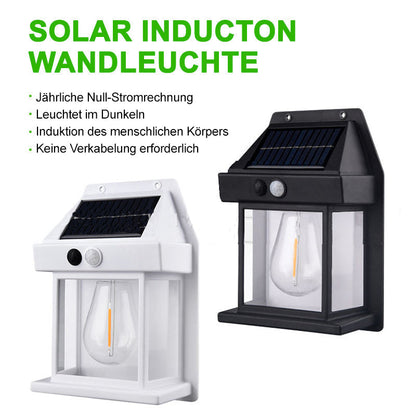 🌈✨Solar Wolfram Wandleuchte für den Außenbereich✨